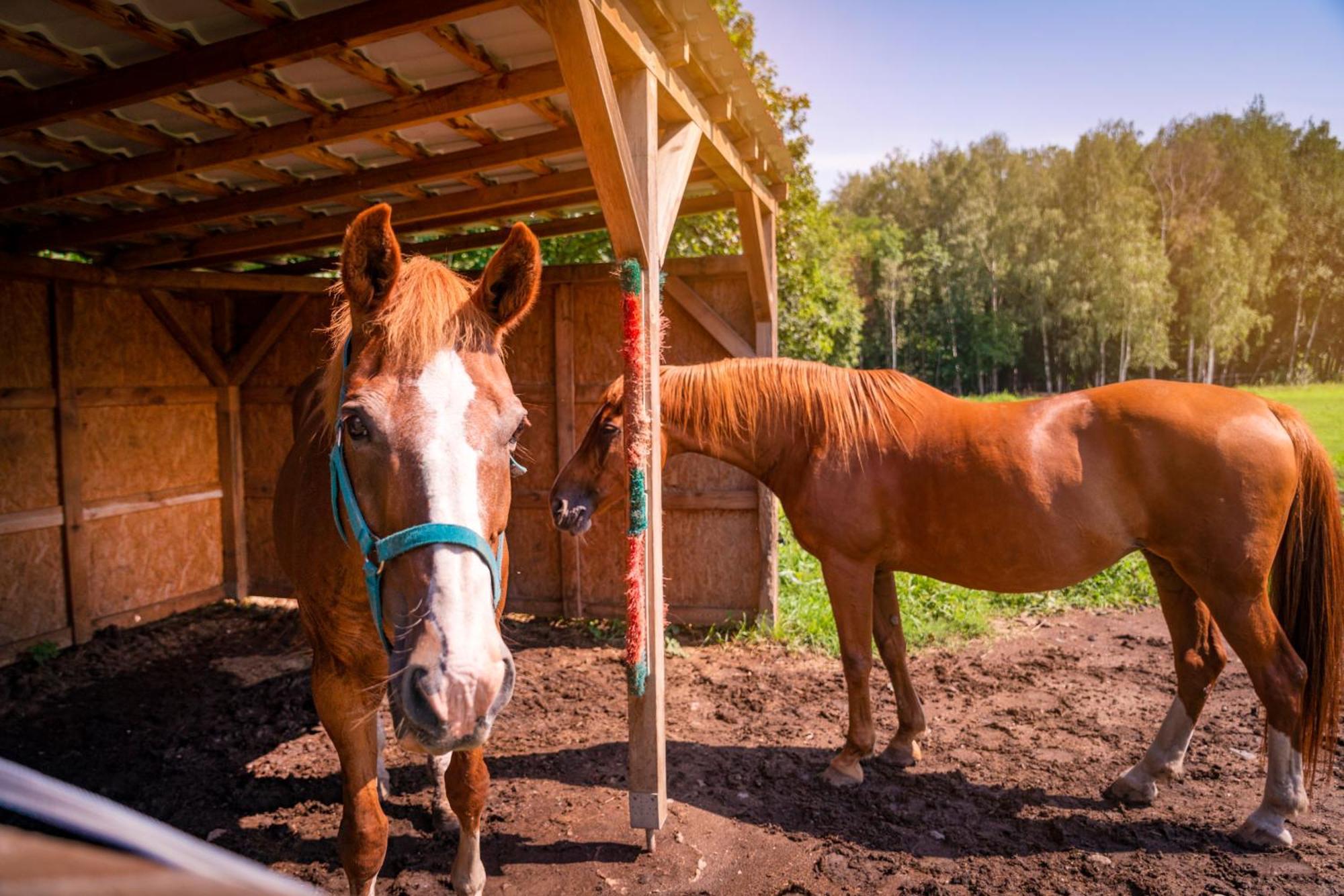 Pension U Jezu Klášterec nad Ohří Exterior foto